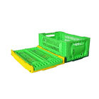 Cor personalizada dobrável da caixa do armazenamento vegetal de Mesh Plastic 5L