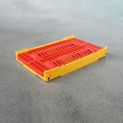 Mesh Type 5 litros de caixa de dobramento plástica empilhável para os frutos MultiFunction