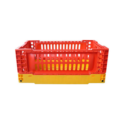 a cesta de dobramento 6kg do armazenamento do fruto 5L carrega multi opções da cor
