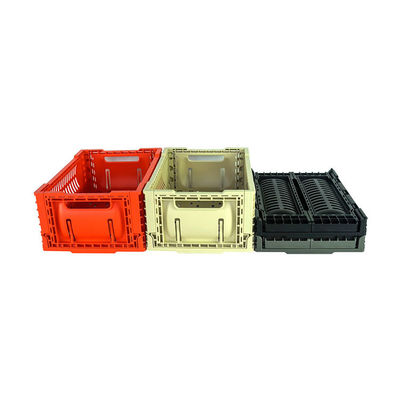 Cesta portátil de dobramento do piquenique 5L pronta para enviar a carga 6kg