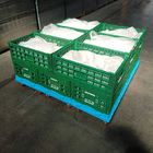 Caixa plástica verde 600x400x220cm do armazenamento para o vegetal de fruto