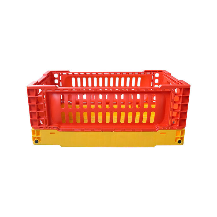 a cesta de dobramento 6kg do armazenamento do fruto 5L carrega multi opções da cor